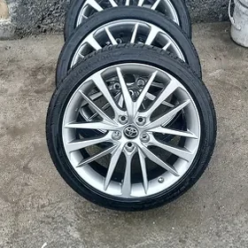 Kemiri Diska 19