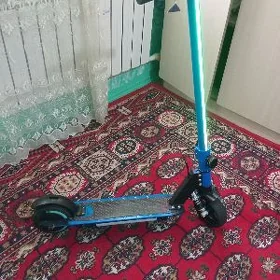 tokly samakat