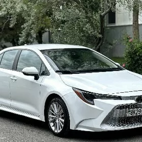 Toyota Corolla 2021