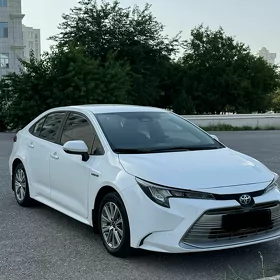 Toyota Corolla 2023