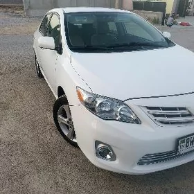 Toyota Corolla 2013