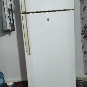 Holadinik LG