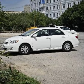 Toyota Corolla 2010