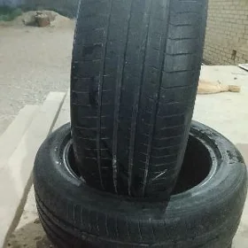 pakryşga 225 50 18
