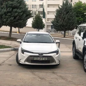 Toyota Corolla 2020