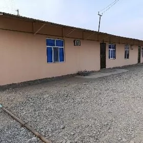 Anew źibi obasy
