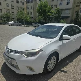 Toyota Corolla 2013