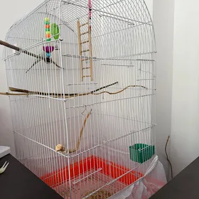 Клетка для попугая