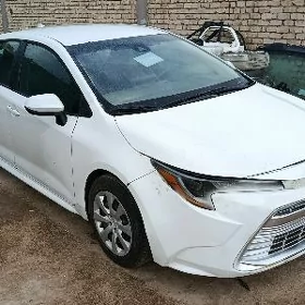 Toyota Corolla 2023