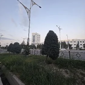 ПРОДАЖА ЭЛИТКА