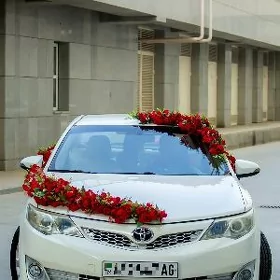 Toyota Camry 2013