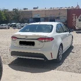 Toyota Corolla 2020