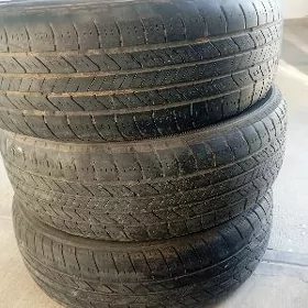 17 ayak