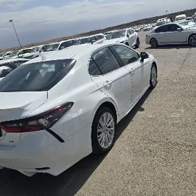 Toyota Camry 2022