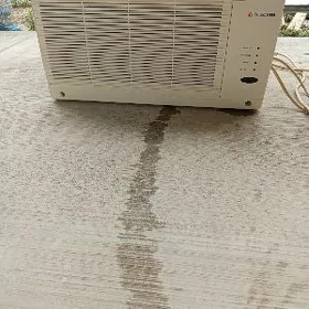 Electrr