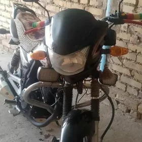 Fekon FK150-8G 2014