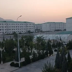 Buzmeyin gres 8dom
