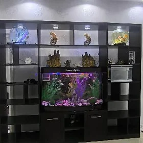 Akwaryum balyk