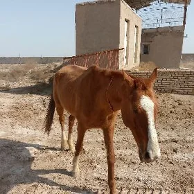 At