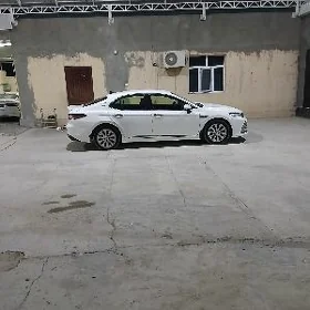 Toyota Camry 2020