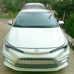 Toyota Corolla 2023