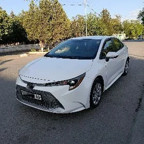 Toyota Corolla 2021