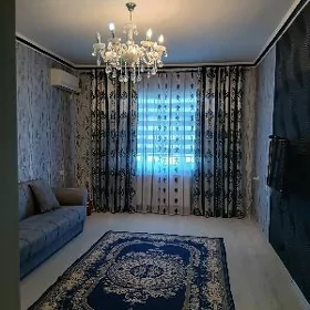 Satlyk jay