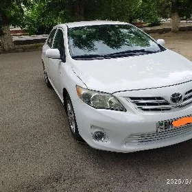 Toyota Corolla 2013