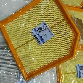 Filter Geely Monjaro