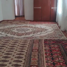satlyk plan jay garadamak