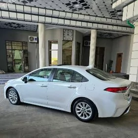 Toyota Corolla 2020