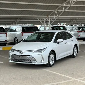 Toyota Corolla 2024