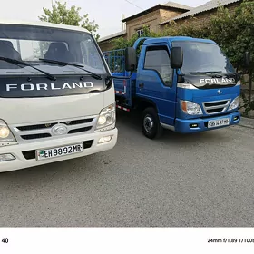 Forland H2 2008