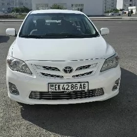 Toyota Corolla 2011