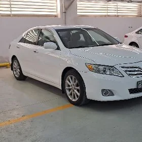 Toyota Camry 2010