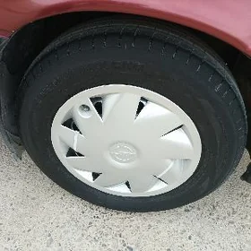 disga pakyrysga