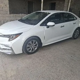 Toyota Corolla 2022