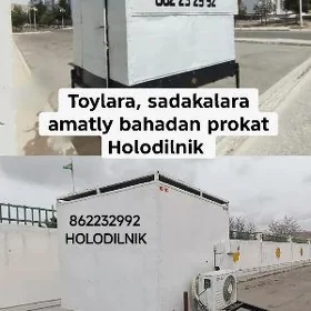 sowadyjy holodilnik