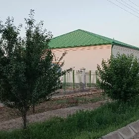 satlyk elitni jaý