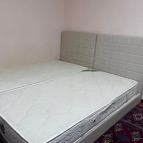 spalni   krawat