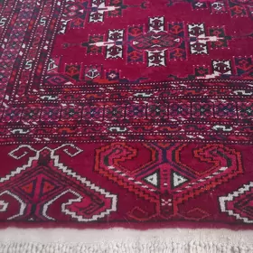 Gadym haly