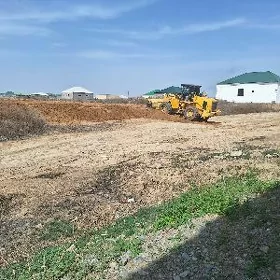9 kamsar mellek