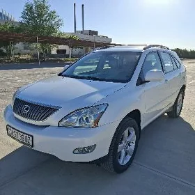 Lexus RX 330 2004