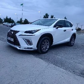 Lexus NX 300 2021