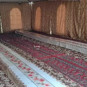 gummez palatga