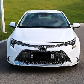 Toyota Corolla 2023