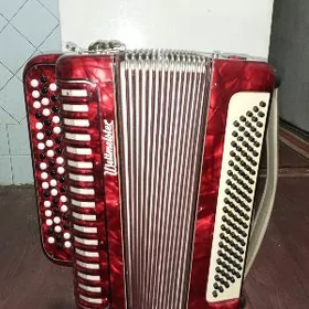 Баян, аккордеон, гармонь.