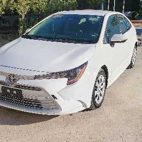Toyota Corolla 2024