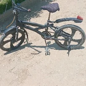 paca ayak