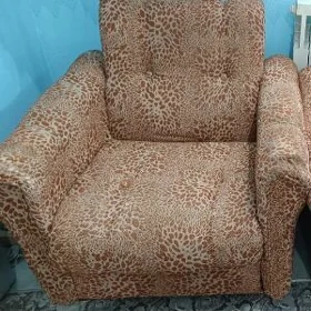 öý we ofis üçin